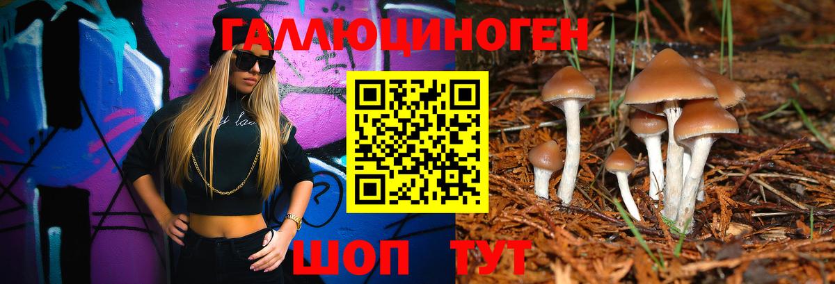 Псилоцибиновые грибы Cubensis  наркотики  Новодвинск  Вход с VPN 